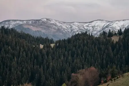 Kupovina rumunske e-vinjete i putni saveti za putovanje